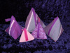 Pyramidentaeschchen